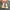 Dr martens Dillan camo photo 6