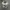 Dr martens Dillan camo photo 1