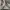W33 L29 | 2020s Levi's Lot 501'93 Distressed Jeans Regular photo 10