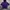 HOODIE ELLESE photo 1