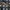 2000s ggpx belt photo 2