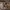2000s ggpx belt photo 3
