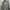 Parka M65 Sheec Head photo 5