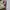 Parka M65 Sheec Head photo 7