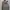 Parka M65 Sheec Head photo 1