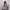 Blazzer antik photo 1