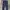 Carhart chinos warna navy size besar 44 photo 1