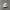 nike air jordan photo 1