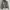 TED COMPANY MA-1 BOMBER JACKET photo 1
