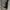 TED COMPANY MA-1 BOMBER JACKET photo 6