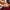 Seminoles Wool photo 5