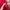 dress sweater hoodie tunik merah list (-)apa adanya photo 6