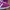 Adidas Gazelle Og Purple  photo 4