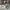 Sepatu shoes sneakers converse one star x golf le fleur plum photo 8