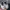 Common Projects Luxury Lolita Sneakers Wanita white photo 7