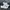 Common Projects Luxury Lolita Sneakers Wanita White