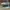 Sepatu shoes sneakers Converse one star x Golf Le Fleur photo 7