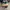 Sepatu shoes sneakers Converse one star x Golf Le Fleur photo 5