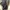 Eiger Gigant 100L photo 3