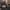 Eiger Gigant 100L photo 8