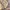 Cream Bow Charm Dress Himekaji Lolita Coquette photo 5
