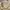 Cream Bow Charm Dress Himekaji Lolita Coquette photo 4