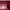 Laptop ASUS X441B no minus bekas pemakaian pribadi photo 1