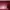 Laptop ASUS X441B No Minus Bekas Pemakaian Pribadi