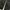 TRACKPANTS UNDERARMOUR LOGO photo 6