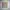 Ben Davis Streetwear Casual Sweater Pria Tan Cream