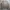 Ben Davis Streetwear Casual Sweater Pria tan cream photo 5