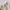Converse Chuck Taylor Men