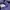 Ben Davis Streetwear Casual Sweater Pria purple photo 7