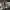 VANS Indie Casual Sneakers Pria white tan photo 5