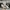 Onitsuka Tiger Gorpcore Cosplay Sneakers Pria white black photo 1