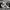 Onitsuka Tiger Gorpcore Cosplay Sneakers Pria white black photo 2