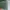 Dompet Kecil 
Marco Polo Emily Half Small Wallet Sage Gree photo 8
