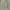 Sandinon Li Niell Green Cardigan   photo 3