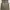 KL NV NEIR YNCK-CONFECTIE LENDELEDE Vest photo 6