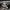 Adidas Gorpcore Casual Sneakers Pria white black photo 1