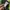 Nike vintage air jordan green black shortpant photo 7