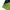 Nike vintage air jordan green black shortpant photo 5
