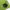 Nike vintage air jordan green black shortpant photo 4
