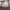 Brand New Elle Paris Shoulder Bag Purple Colour photo 3