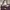 Brand New Elle Paris Shoulder Bag Purple Colour photo 1
