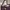 Brand New Elle Paris Shoulder Bag Purple Colour