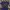 Nike Sportswear T-shirt Pria purple photo 1