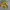 Onitsuka Tiger Mexico 66 Yellow Black Kill Bill ( Size 37 )  photo 5