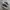 Converse Originals One Star Black White ( Size 40 ) photo 3