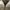Converse Jack Purcell Leather White Original photo 9